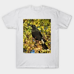 Pied Currawong T-Shirt